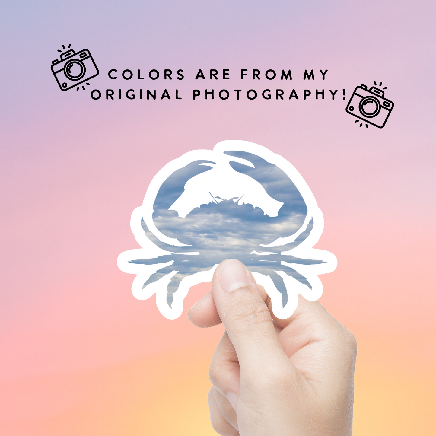 Blue Crab Vinyl Sticker